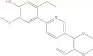 Jatrorrhizine