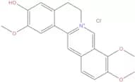 Jatrorrhizine chloride