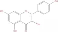 Kaempferol