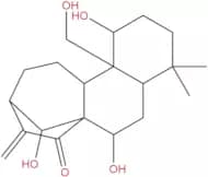 Kamebakaurin