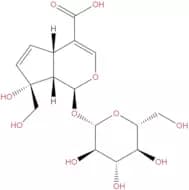 Monotropein