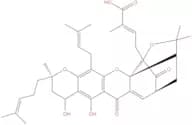 Neogambogic acid