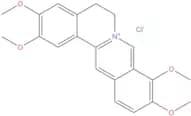 Palmatine Chloride