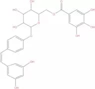Resveratrol 4'-(6''-galloylglucoside)