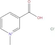 Trigonelline Hydrochloride