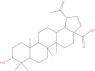 3-Epibetulinic acid