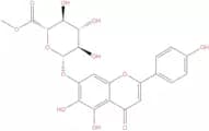 Scutellarin methyl ester
