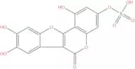 Demethylwedelolactone sulfate