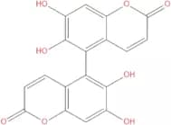 Euphorbetin