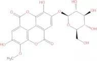 Stachyanthuside A