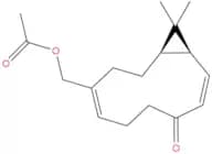 Kissoone C