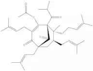 Hyperforin acetate