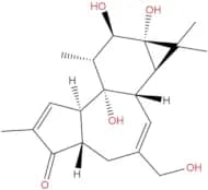 4-Deoxyphorbol