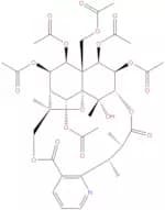Euonymine