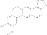 Groenlandicine