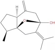 Isocurcumenol