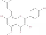 Sophoflavescenol