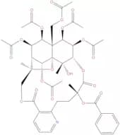Wilfornine A