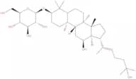 Pseudoginsenoside Rh2