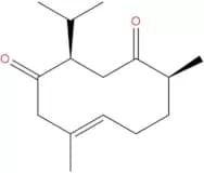 Neocurdione
