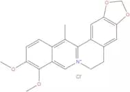 13-Methylberberine