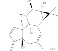 Phorbol