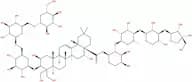 Platycoside E