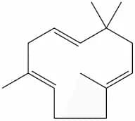 α-Caryophyllene