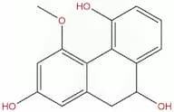 Rotundatin
