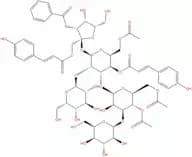 Tenuifoliose H
