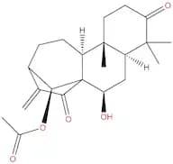 Glaucocalyxin B