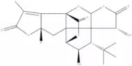Ginkgolide K