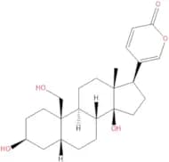 19-Hydroxybufalin
