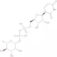 Uridine diphosphate rhamnose