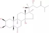 Polyporusterone B