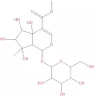 Phloyoside I