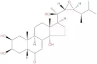 Polyporusterone C