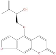 Pangelin