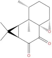 Kanshone C