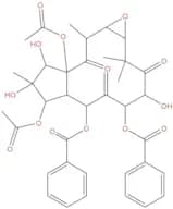 Kansuinin B