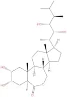 24-epi-Brassinolide