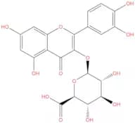 Quercetin 3-O-β-D-glucuronide