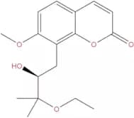 Yuehgesin C