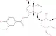 10-O-Vanilloylaucubin