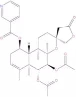 Scutebata F