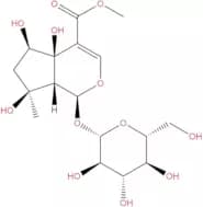 6β-Hydroxyipolamiide