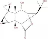 Isohyenanchin