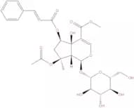 6-O-trans-Cinnamoylphlorigidoside B