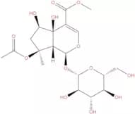 Phlorigidoside B
