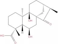 Pterisolic acid D